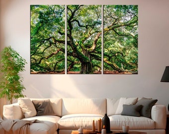 Angel Oak South Carolina - Forest Landscape Canvas Print - Century oak Picture Virgin oak - Tree trunk Home decor - Nature Wall Art