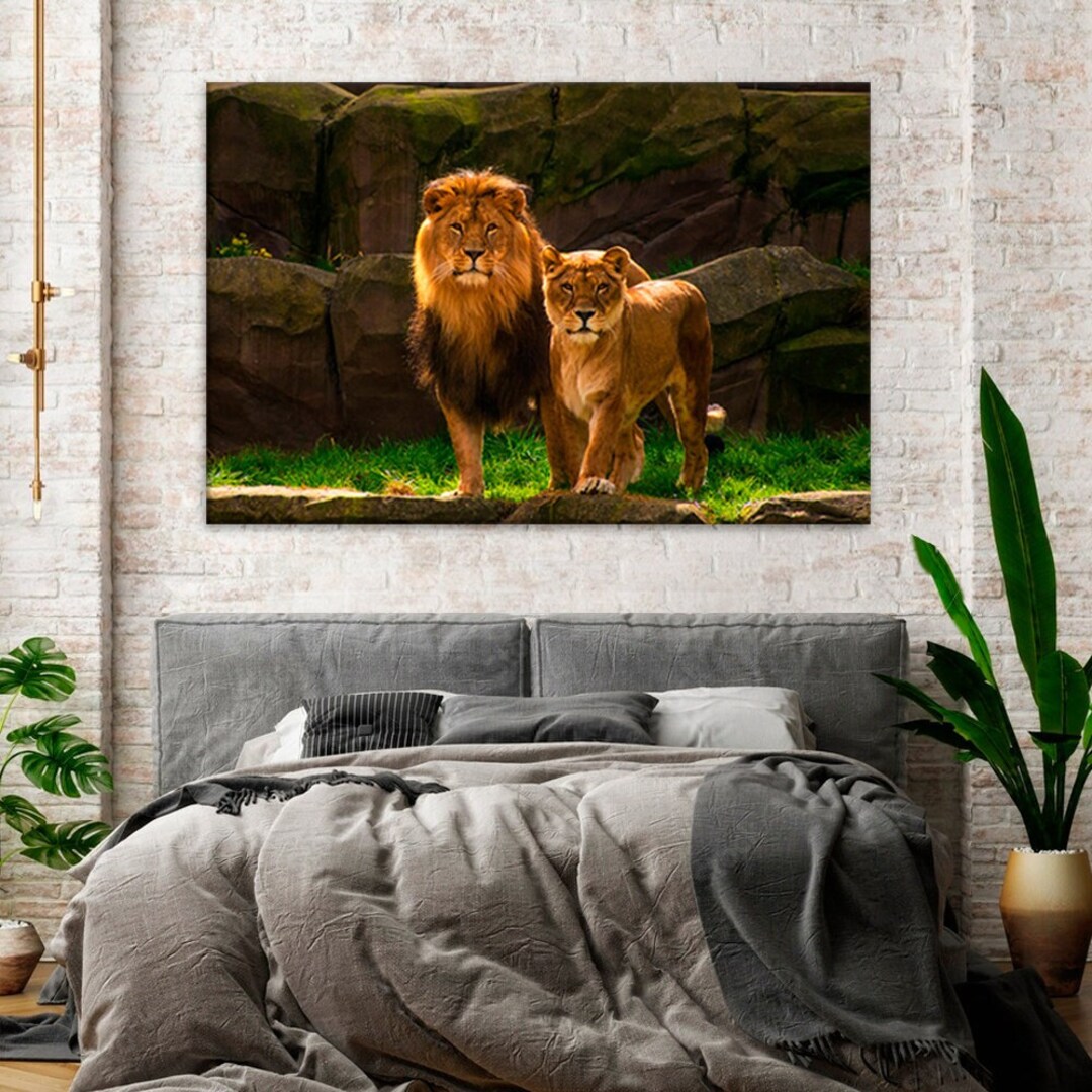 Lion and Lioness Wall Art Wildlife Photography Large Artwork Etsy