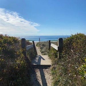 Ladies Beach Nantucket