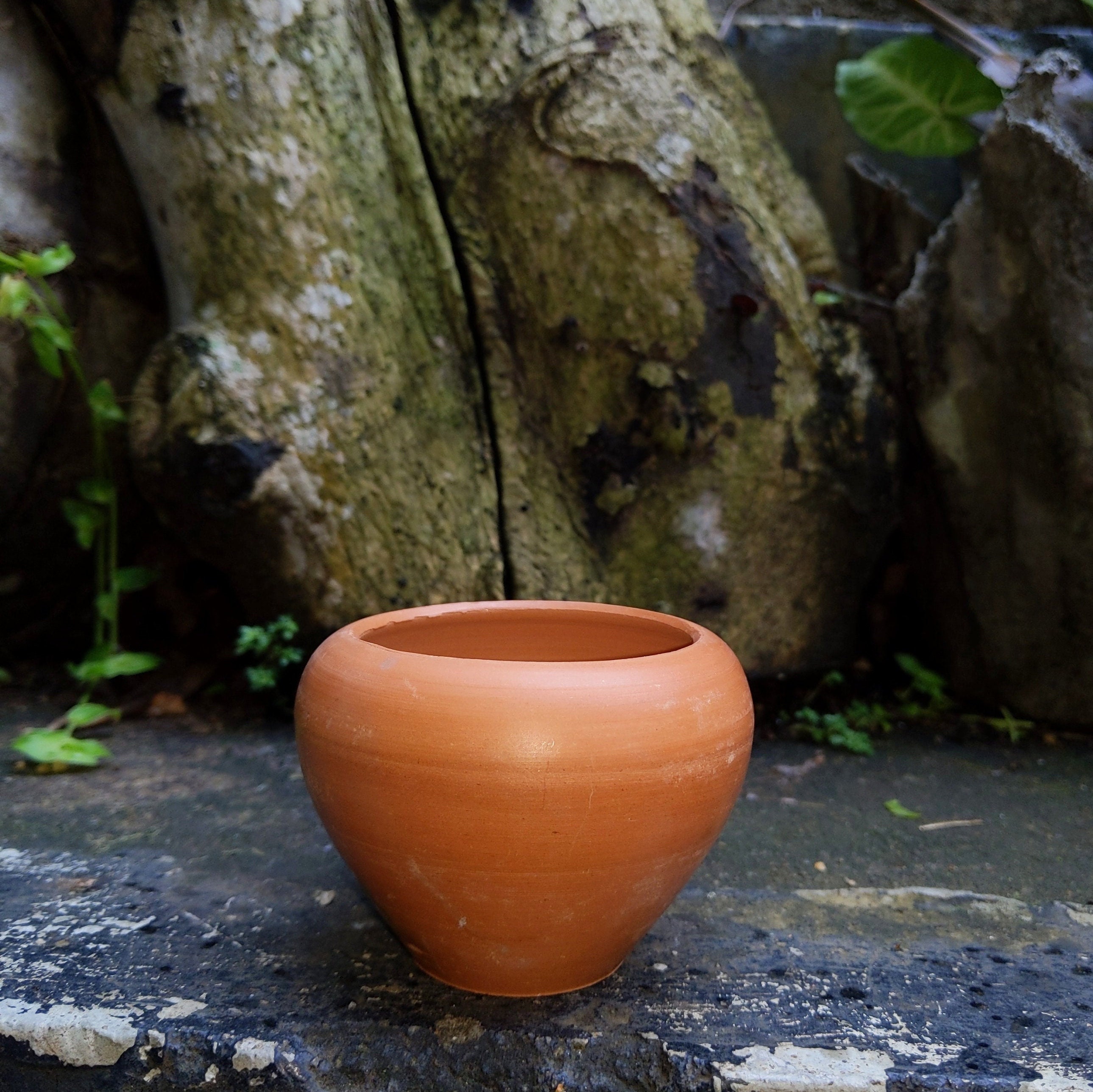 Clay Pots Etsy
