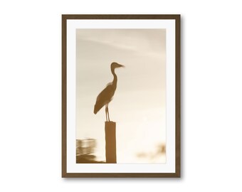 Reproductions or Art Prints in limited edition, photography: reflection of heron, printing of painting