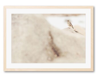 Reproductions or Art Prints in limited edition, photography: small passerine bird by the sea placed on its rock