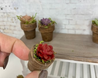 Miniature dollhouse potted succulent plant in walnut stained planter, miniature flowers, dollhouse accessory