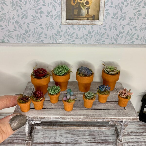 Miniature dollhouse potted succulent plants, dollhouse garden/flowers, Terra Cotta pot, large or small
