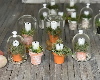 May include: A collection of miniature potted candles, each encased in a glass cloche. The candles are white and surrounded by green moss. The pots are terracotta coloured and have a white, distressed finish.