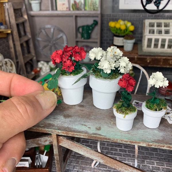 Miniature dollhouse flowers, red or white geraniums, miniature potted plants, dollhouse flowers