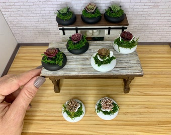 Miniature dollhouse planters filled with flowers in a skeleton hip bone, dollhouse accessories, fall miniature