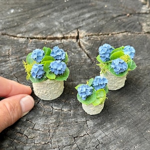 May include: Miniature potted hydrangeas with blue flowers, green leaves, and moss accents. The small, textured pots are beige. The image shows three miniature flower arrangements.