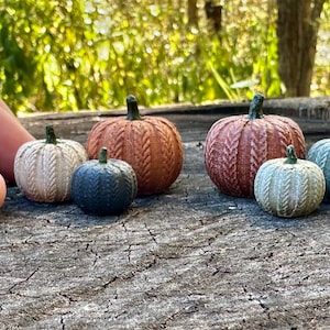 May include: A collection of miniature pumpkins in various colors, including orange, red-brown, blue, and green. The pumpkins have a textured, knitted appearance and are arranged on a weathered wooden surface. The scene is set outdoors with a blurred background of trees.