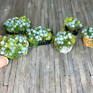 Miniature dollhouse potted succulent flowers, mini floral arrangement, blue succulents