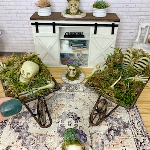 May include: Two miniature wheelbarrows filled with moss and Halloween decorations. One wheelbarrow has a white skull and bones, the other has a white skeleton.