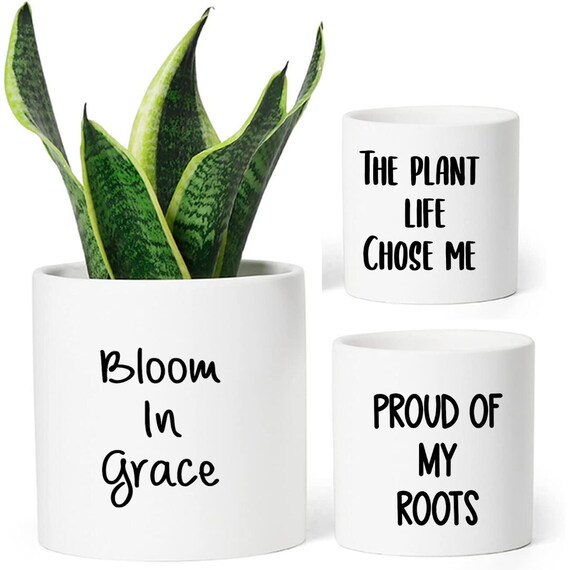 Plant Your Roots Sticker Pack - Vinyl Plant Stickers