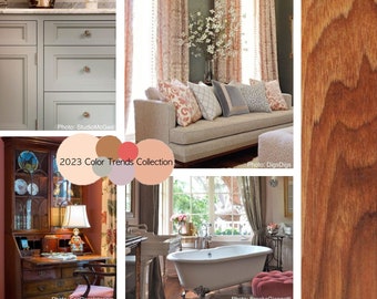 Comfort & Joy - BENJAMIN MOORE Interior Paint Color Palette