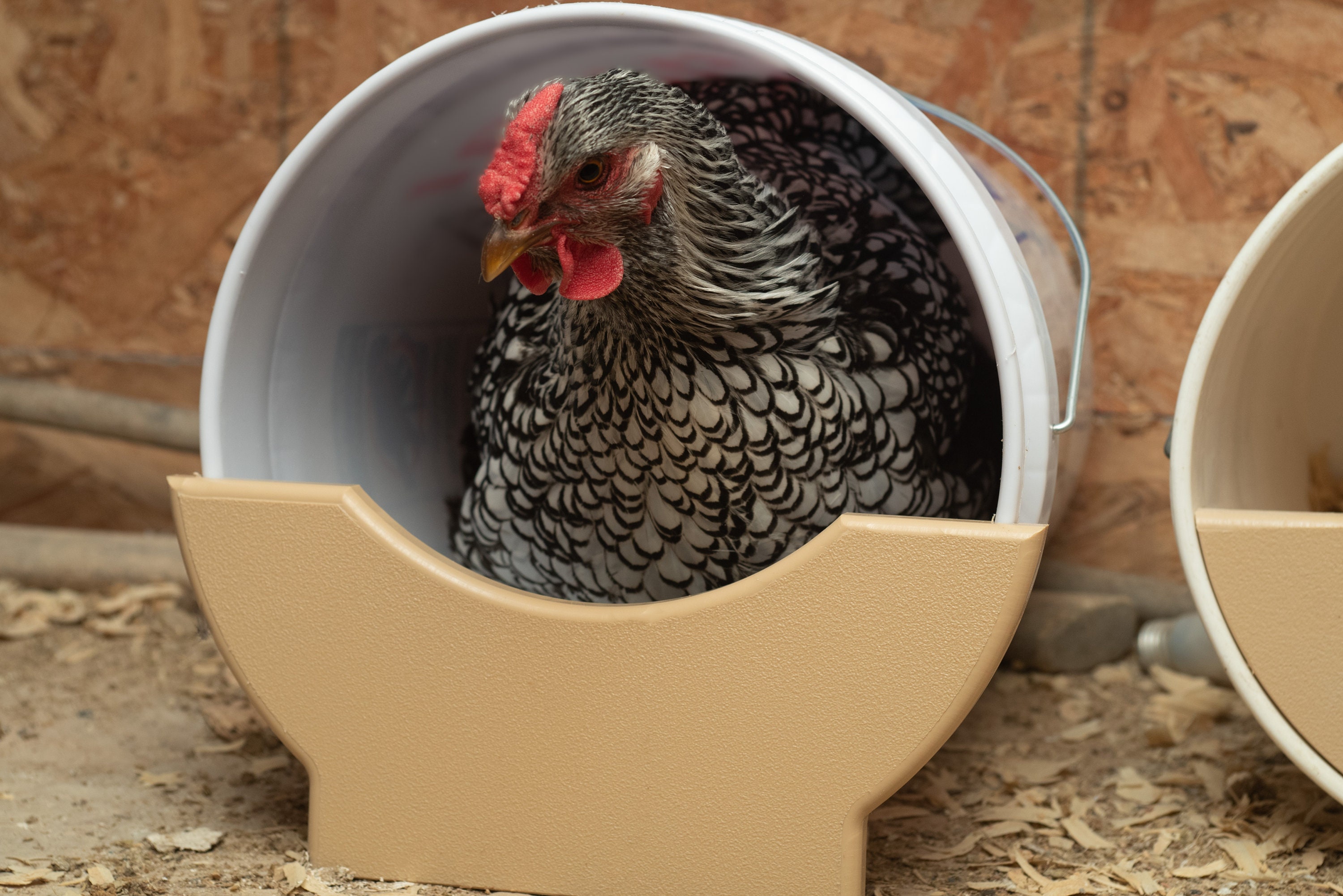 Nesting Slide EZ Slide Chicken Nesting box | Etsy