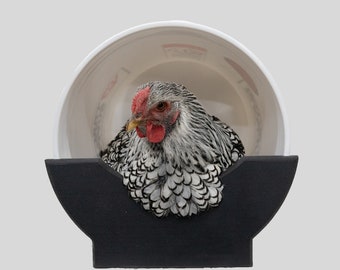 EZ Slide Chicken Nesting box