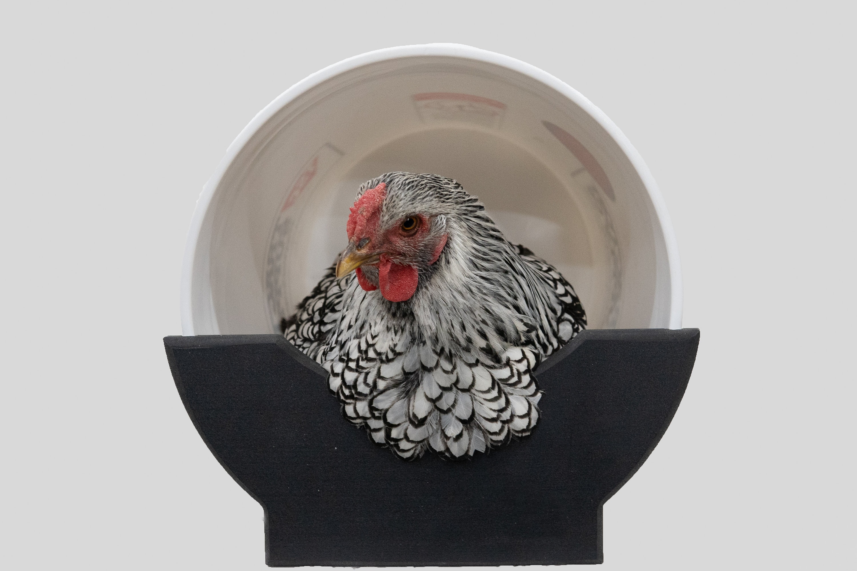 EZ Slide Chicken Nesting box