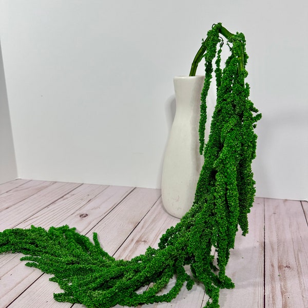 Preserved Amaranthus Dried Flowers - 80cm Natural Stems For Home & Wedding Decor | Premium Dried Bouquet - View #6