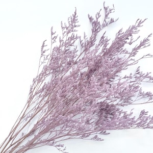 May include: A bundle of dried, light purple statice flowers against a white background. The delicate, feathery blooms are clustered along slender, brown stems. The flowers have a soft, muted color, and the image is well-lit.