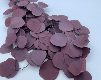 May include: A bunch of dried eucalyptus leaves in a deep purple hue. The leaves are arranged in a cascading pattern, creating a natural and elegant look.