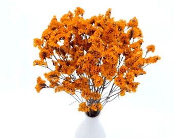 May include: A small white ceramic vase holds a bouquet of dried orange flowers. The flowers have a delicate, textured appearance and are clustered together. The vase has a simple, rounded shape and sits on a white background. The overall aesthetic is minimalist and natural.