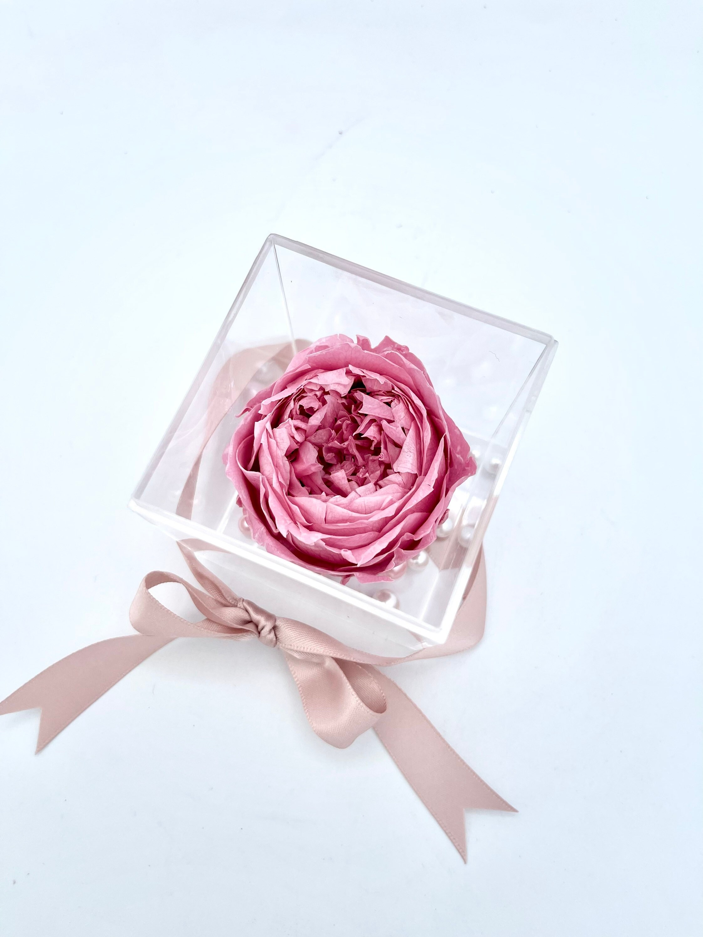 A Preserved Single Bloom Peony in a Acrylic Box With Faux Pearls