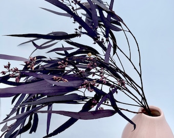 May include: A bouquet of dark purple eucalyptus branches with small pink buds in a light pink ceramic vase.