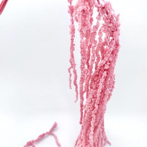 May include: A bunch of pink dried amaranth flowers, also known as tassel flowers, with long, thin stems. The flowers are soft and fluffy, and they are arranged in a cascading pattern.