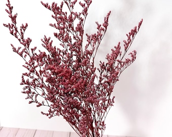 May include: A bouquet of dried pink statice flowers in a light pink ceramic vase. The flowers are arranged in a loose, natural style.