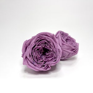 Preserved English rose garden rose 1.75”-2” large rose flower arrangement wedding moss art- Purple