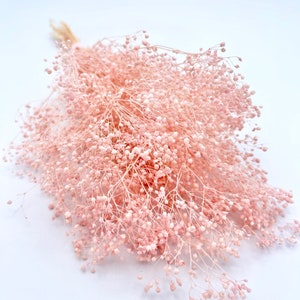 20g Blush Pink Mini Baby’s Breath Preserved flowers , Gypsophila sp. Wedding decor boutonniere, DIY Floral arrangements, blush Pink flowers