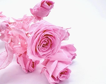 Preserved Sakura Pink Spray rose with long stem with leaves forever flowers DIY Bouquet bridal wedding arrangement