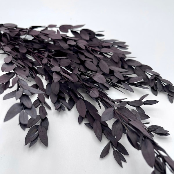 Dark purple preserved Eucalyptus 12”-14” bundle  home Decoration. 25g