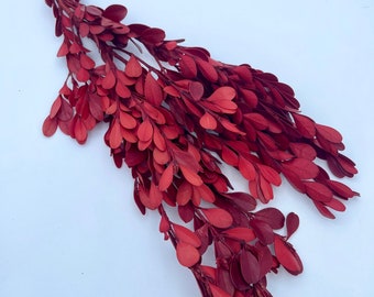 May include: A bunch of deep red artificial leaves, arranged in a cascading pattern, with a dark brown stem.