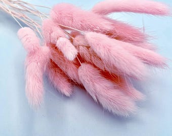 20+ PCs of bunny tails grass lagurus ovatus dried preserved bunny tail bouquet Light Pink
