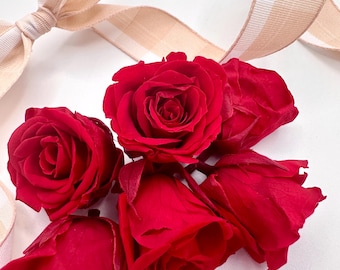 A box of 6 Red mini preserved roses 1”-1.2” roses eternal roses