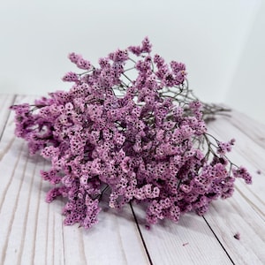 25g of soft preserved Punkish Purple dark stems crystal flowers German Statice limonium lover grass bunch 17”-20” tall