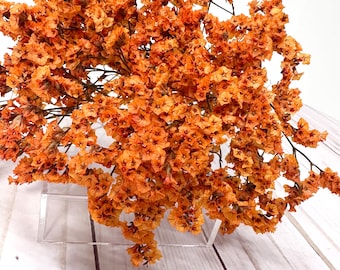 May include: A close-up of dried orange flowers, possibly statice, arranged on a clear acrylic stand. The flowers have a textured appearance and are set against a white and light wood background.