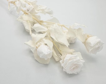 Preserved White Spray rose with long stem with leaves forever flowers DIY Bouquet bridal wedding arrangement
