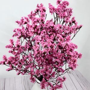 25g of soft preserved  Pink Crystal  flowers German Statice limonium lover grass bunch 17”-20” tall