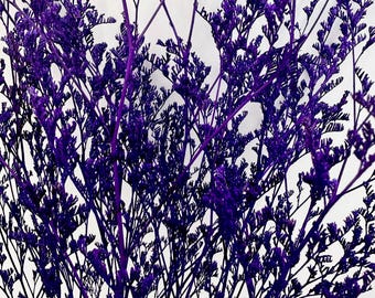 May include: A bunch of dried purple statice flowers. The flowers are arranged in a bouquet and have a delicate, feathery texture.