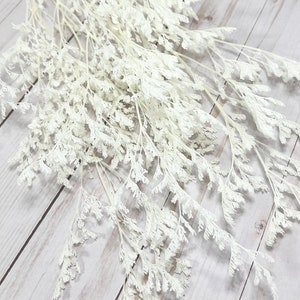 22g Caspia in White color, Soft preserved Floral arrangements, White flowers, wedding decor, Home decor, DIY Flowerl arrangements, gift