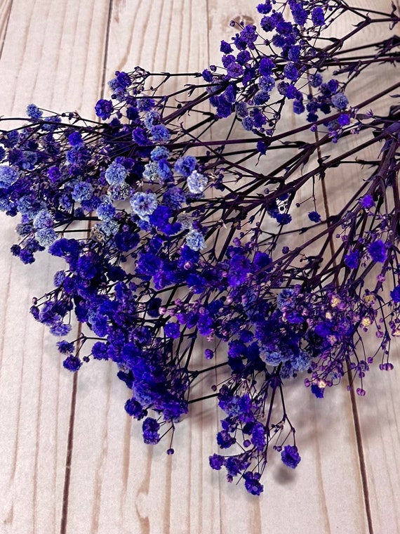 14”-15” Beautiful Fluffy Violet Blue Preserved Gypsophila Baby's