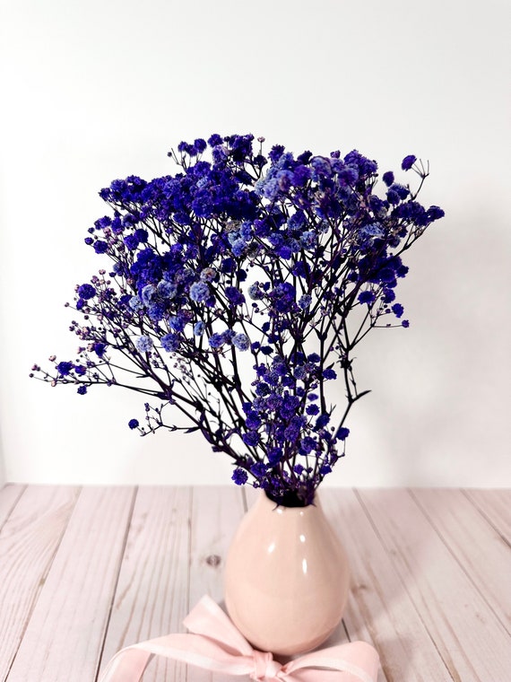 14”-15” Beautiful Fluffy Violet Blue Preserved Gypsophila Baby's