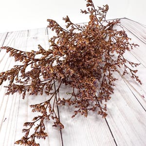 Orange  lover grass preserved flowers caspia tiny flowers home decorations diy bouquet flower arrangement 25g