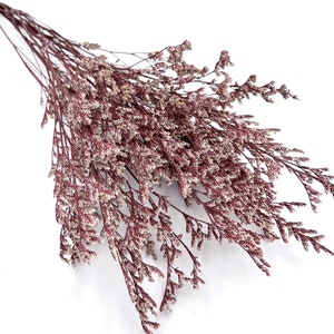 Light Burgundy limonium lover grass preserved flowers caspia tiny flowers home decorations diy bouquet flower arrangement 25g