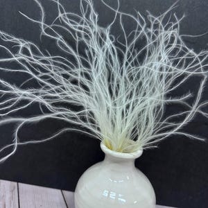 BACK ORDER****Preserved Stipa White Feather grass dried preserved grass DIY floral arrangements flower decorations