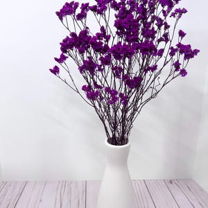 25g of soft preserved  Fuchsia Crystal  flowers German Statice limonium lover grass bunch 17”-20” tall