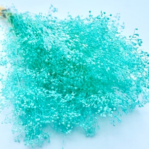 20g blue aquamarine Mini Baby’s Breath Preserved flowers , Gypsophila sp. Wedding decor boutonniere, DIY Floral arrangements