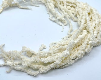 White Hanging Amaranthus Dried | Bleached White Amaranthus | Preserved Flowers | Wedding Decor| 1 stem