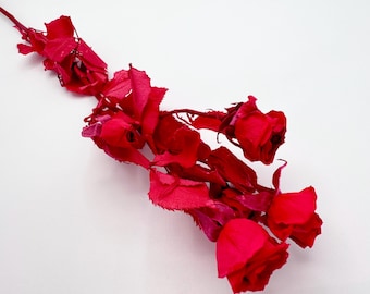 Preserved White Spray rose with long stem with leaves forever flowers DIY Bouquet bridal wedding arrangement